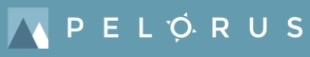 Pelorus Consulting Pelorus Consulting